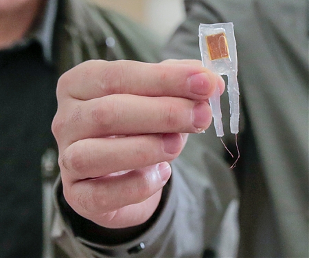 (PDF) Weight Loss Implant Simulates Food Inside Stomach