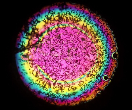 Implantable LCD Eye Lenses May Make Glasses Obsolete