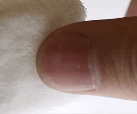 MIT Researchers Create 3D-Printed Fur, Opening Up "A New Design Space"