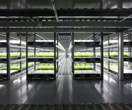 The World’s First Farm with Robot Farmers to Open in Japan