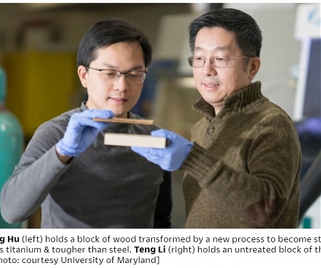 A New Material Called “Superwood” Is Just As Strong As Steel