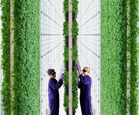 Robots are Already Farming Crops Inside This Silicon Valley Warehouse