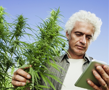 No Matter Your Mood, Machine Learning Can Tell You What Cannabis is for You