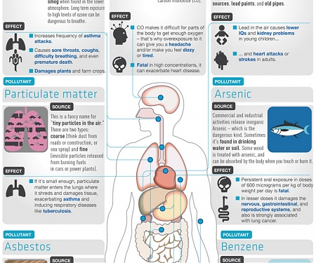 (Infographic) What’s In The Air We Breathe?