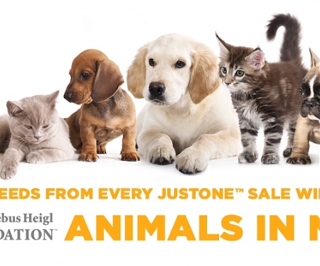 No Bones About it : The Pet Category is a Real Growth Opportunity