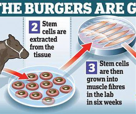 How The $1.8T Global Meat Market Gets Disrupted