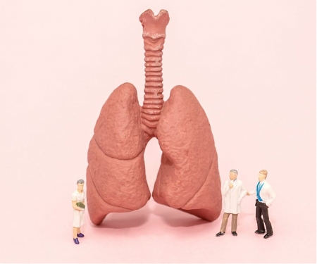 3D Bioprinted Lungs to be Available for Global Transplants