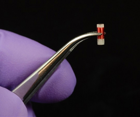 MIT - Real Time Data for Cancer Therapy