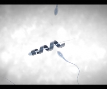(Video) Motorized Spermbots Help Weak Swimmers Along to Boost Fertility