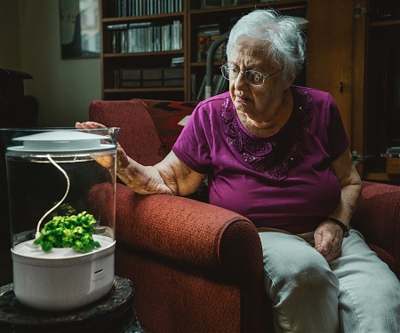 Bloomengine Automates the Growing of Delicate Plants