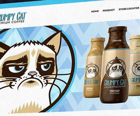 How Grumpy Cat Makes Her Millions
