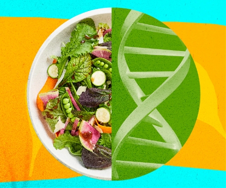 The First Crispr-Edited Salad Is Here - Pairwise