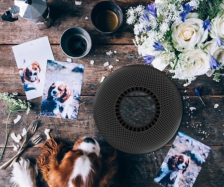 Portable Audio In 360° - ORION360 Speaker