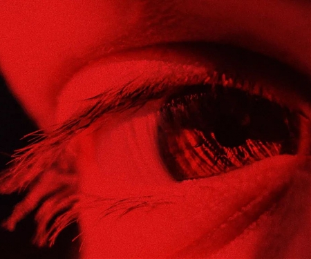 (Paper) Researchers Discover How to Improve Eyesight Naturally