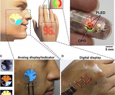 Flexible e-Skin Display Is Thinner Than Saran Wrap and Tracks Blood Oxygen Levels