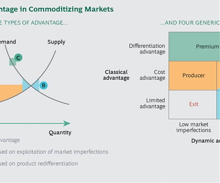 (PDF) BCG - The Art of Embracing Commoditization