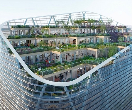 World's Tallest Hybrid Timber Tower Planned for Sydney, Australia