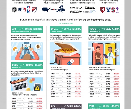 (Infographic) The Pandemic Economy : Which Stocks are Weathering the Storm ?