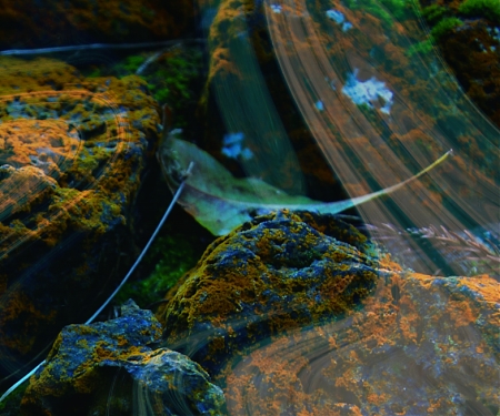 (PDF) BCG - The Dawn of the Deep Tech Ecosystem