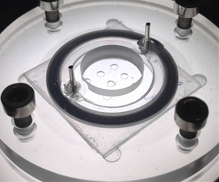 Fraunhofer - Cultured Liver Cell Microreactor Might Replace Animal Testing