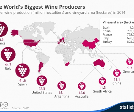 The World's Biggest Wine Producers