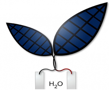(Video) Harvard - Bionic Leaf Turns Sunlight Into Liquid Fuel