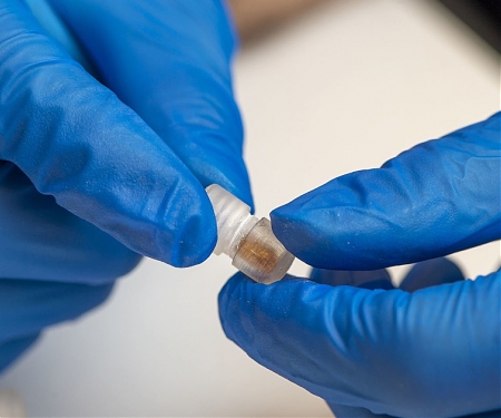 (Paper) Swallowable Capsule Gathers Bacteria from The Gut