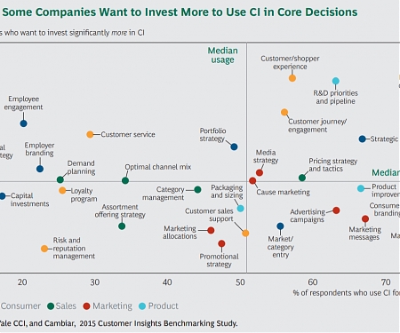 (PDF) BCG - Building a Better Customer Insight Capability