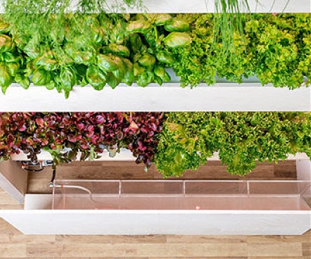 UPROOTED - Smart Home Ecosystems Take Off