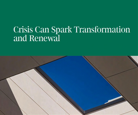 (PDF) BCG - Crisis Can Spark Transformation and Renewal