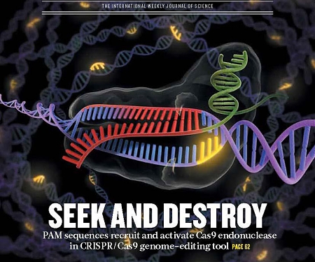 (Infographic) The Rise of CRISPR