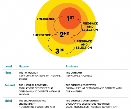 HBR - The Biology of Corporate Survival