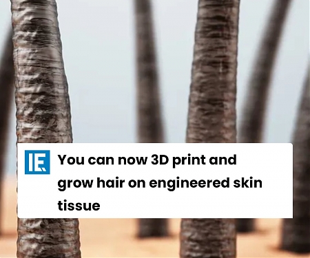(Paper) You Can Now 3D Print and Grow Hair on Engineered Skin Tissue