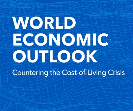 (PDF) WEF - World Economic Outlook Report, October 2022
