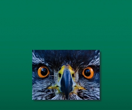(PDF) BCG - Global Wealth 2018 : Seizing the Analytics Advantage