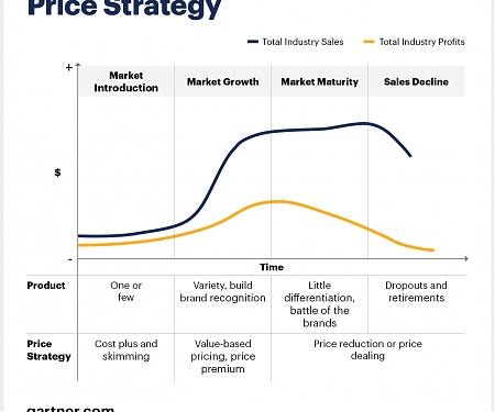 Gartner - Product Life Cycle and Price Strategy