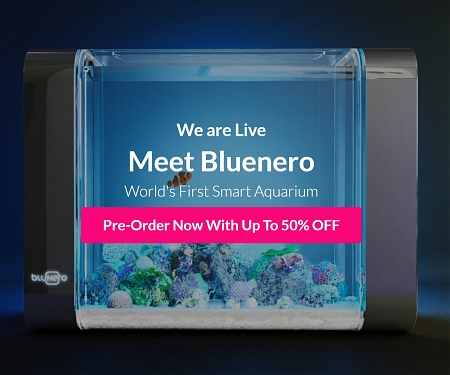 (Video) Bluenero Smart Aquarium Automatically Feeds Your Fish
