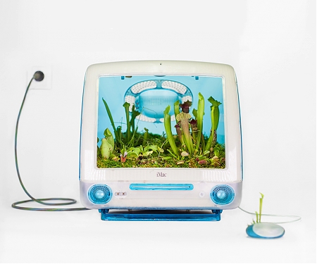 Christophe Guinet Turns Vintage Apple Computers Into Pots for Exotic Plants