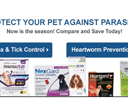 Pets And Pampering Prompt New People To Purchase Online