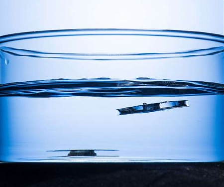 (Video) Unsinkable Metal - Spiders and Ants Inspire Metal That Won't Sink