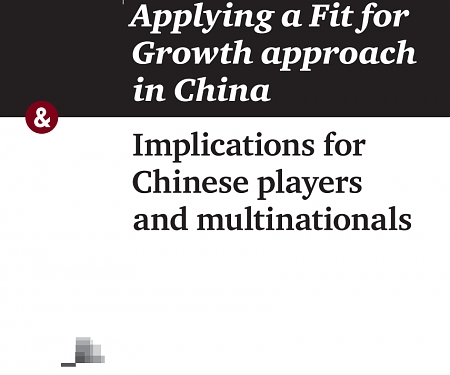 (PDF) PwC - Applying a Fit for Growth Approach in China