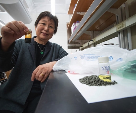 Groundbreaking New Technique can Turn Plastic Waste Into Energy-Dense Fuel