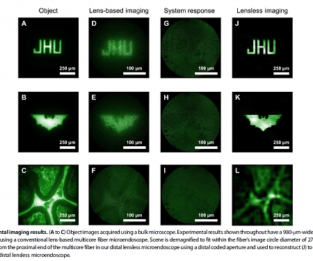 (Paper) A Minimally Invasive Lens-Free Computational Microendoscope