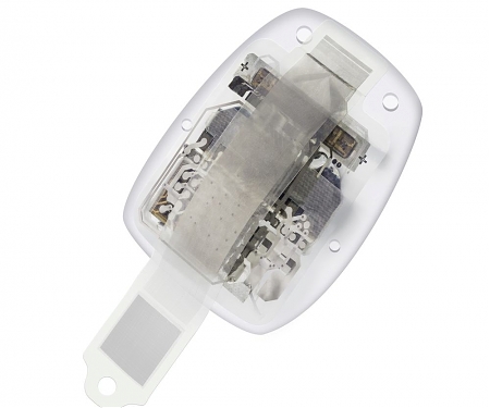 Ex-President of Elon Musk’s Neuralink Has New Brain-Computer Startup