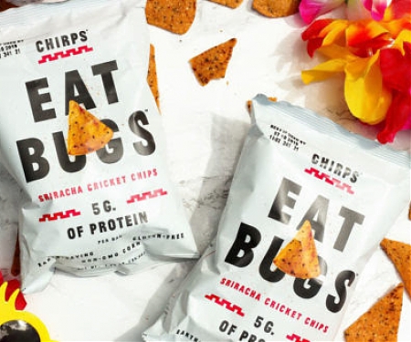 Insect-Based Snacks Proliferate