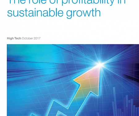 (PDF) Mckinsey - Grow Fast or Die Slow : The Role of Profitability in Sustainable Growth