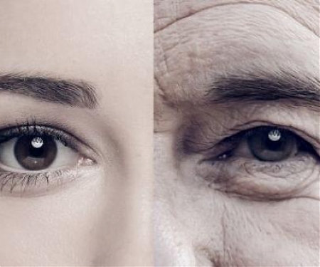 (PDF) Russian Scientists Slowed Down Aging