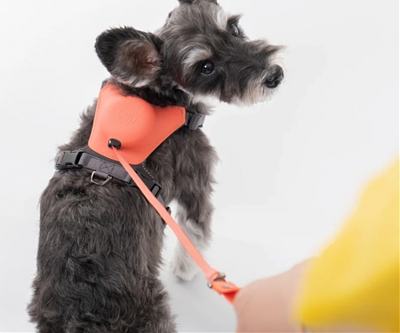 BKID Develops Hybrid Dog Harness with a Lightweight, Retractable Leash Module for 'Tailhigh'