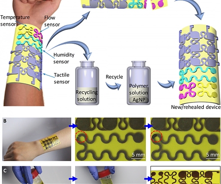 (PDF) Electronic Skin That Heals Could be the Future of Prosthetics, Robotics