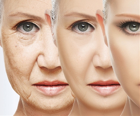 (Video) Reversing Aging: Clinical Trials For “Young-to-Old” Blood Transfusions Begin